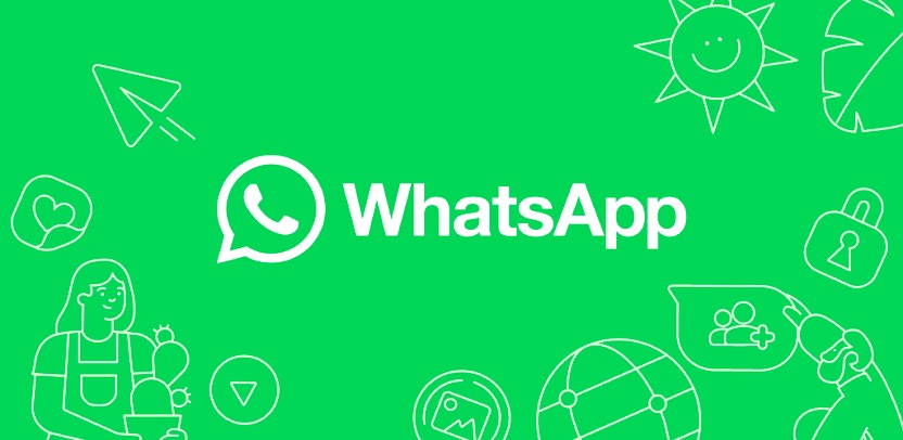 What is the difference between a business account and a regular account on WhatsApp? WhatsApp number verification
